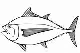 Print Tuna Fish Coloring Page  Free Printable Pages For Kids sketch template