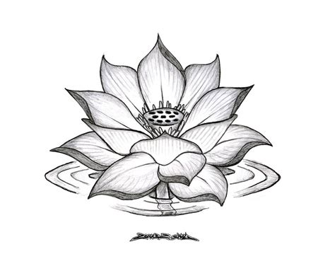 Mandala Lotus Flower Drawing at PaintingValley.com | Explore collection of Mandala Lotus Flower ...