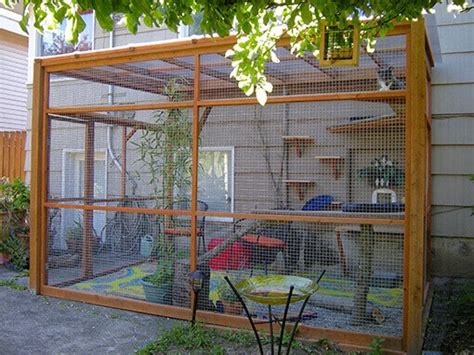 All About Catios & Cat Enclosures - Catio Spaces