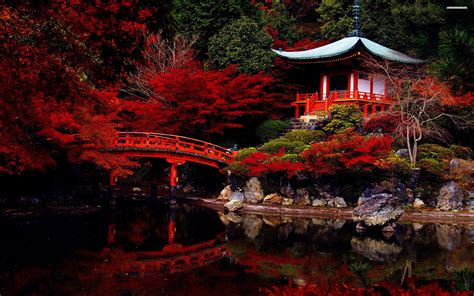 Japan 4K Wallpaper - WallpaperSafari