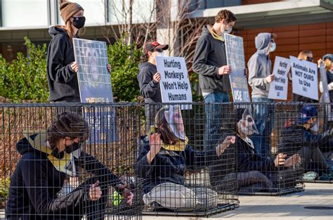 Animal care panel sues own university, fearing harassment from animal rights activists | Science ...