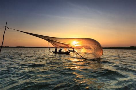 Men On Boat Catching Fish With Net During Golden Hour · Free Stock Photo