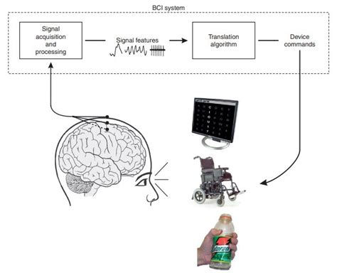 An Introduction To The Brain-Computer Interface Technology - The Brainy ...