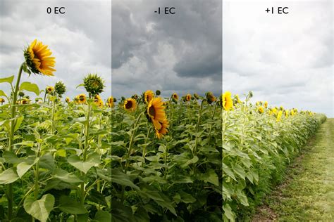 Exposure bracketing in photography – How to use it