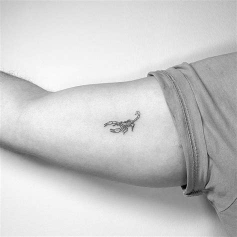 Fine line scorpion tattoo on the inner arm.