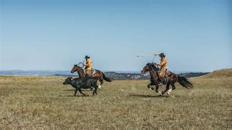 Schaefer Outfitter Western Ranch Wear