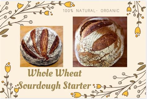 SOURDOUGH STARTER WHOLE Wheat. Organic whole wheat sourdough | Etsy