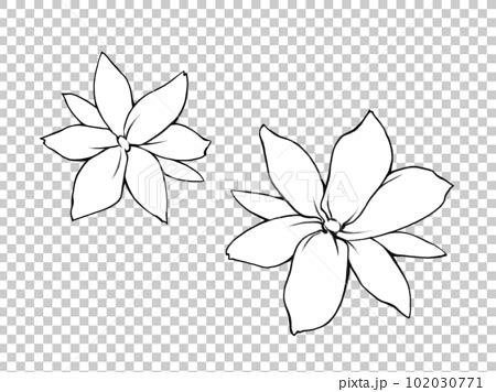 Line drawing illustration of a simple... - Stock Illustration [102030771] - PIXTA