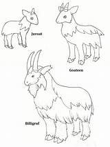 Three Billy Goats Gruff Character Printables  Printable Word Searches sketch template