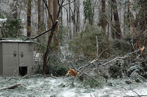 Aftermath 1 | Ice storm aftermath. Part of our backyard. Big… | Flickr