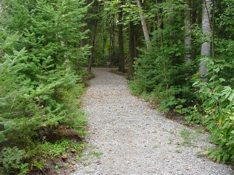 Harrisville State Park-Cedar Run Nature Trail