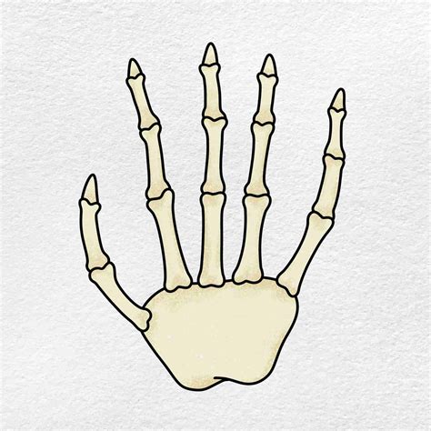 How to Draw a Skeleton Hand - HelloArtsy