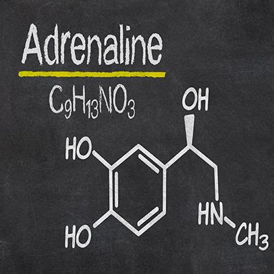 Adrenaline Hormone: What Is It, Effects and Function