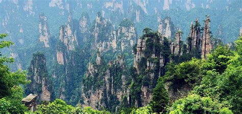 Tianzi Mountain – king mountain in the needle karst