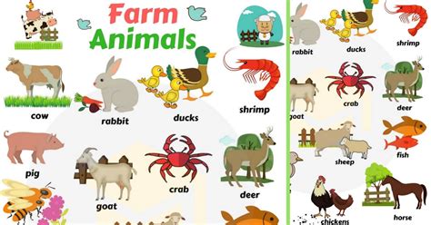 Domestic Animals Names for English Learners • 7ESL