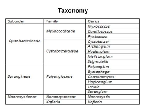 Myxobacteria, life cycle, genetic basis of differentiation