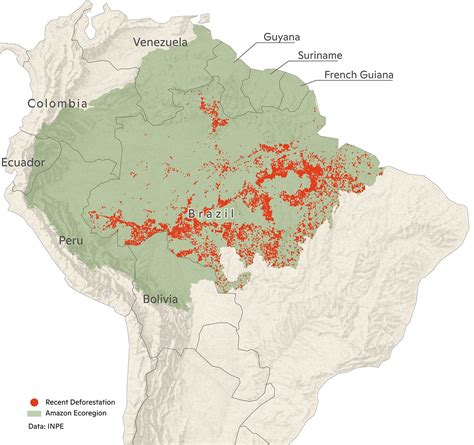 Amazon Deforestation and Fire Update: November 2020 - Woodwell Climate