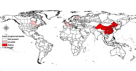 Asian Longhorned Beetle Map