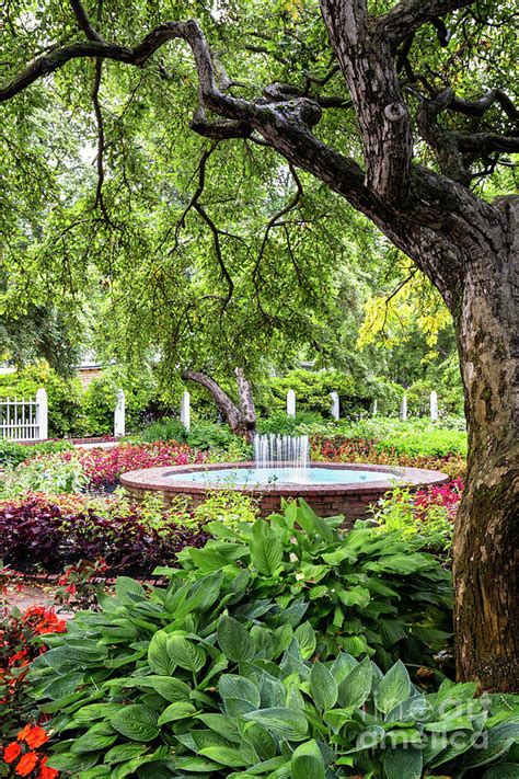 Prescott Park Flower Gardens Portsmouth New Hampshire Photograph by ...