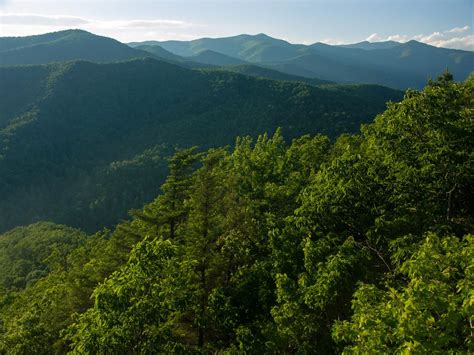 Hiking in Pisgah National Forest, NC