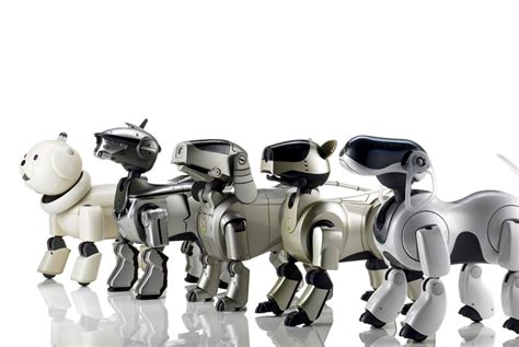 Aibo, le robot chien de Sony pourrait revenir