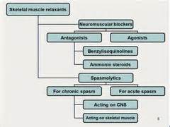 Skeletal Muscle Relaxants flashcards | Quizlet