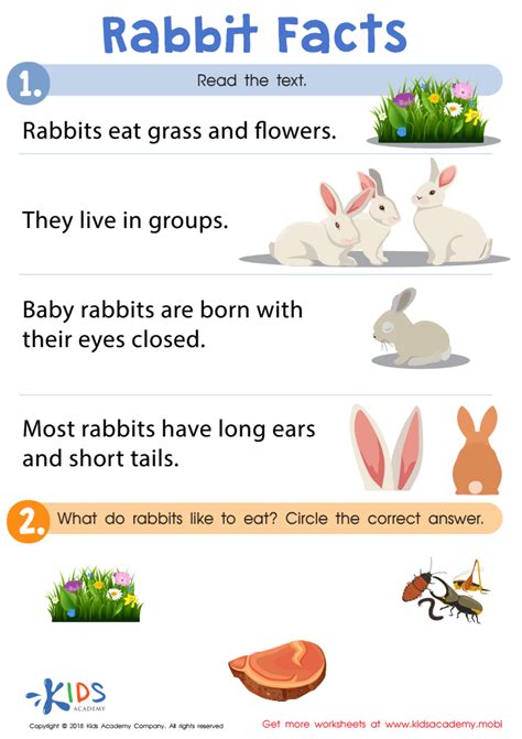 Rabbit Facts Printable Worksheet For Kids, 58% OFF