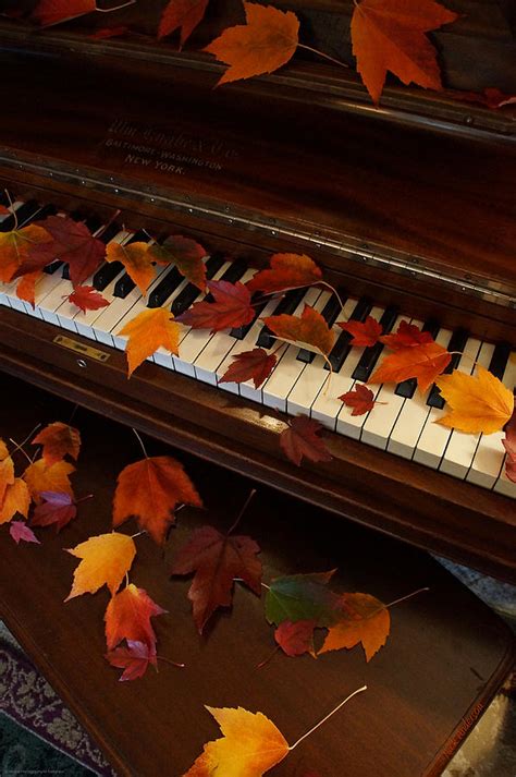 Autumn Piano 7 Photograph by Mick Anderson - Fine Art America