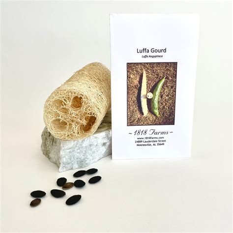 Luffa Gourd Seeds from 1818 Farms