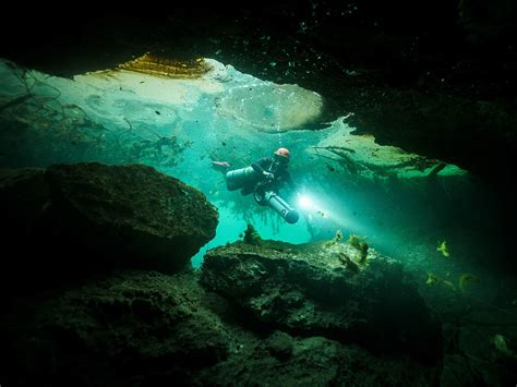 New Manatee Habitat Discovered | A Call to Action [VIDEO]