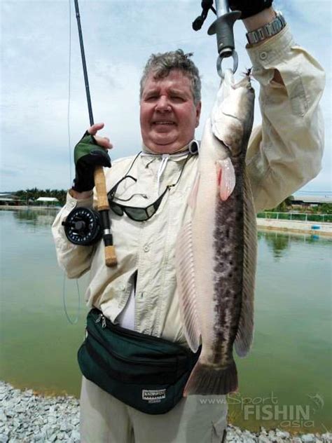 Toman Fishing With Bob - Giant Snakeheads - Sport Fishing Asia