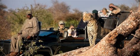 RockFig Safari Lodge | Out On Safari In The Timbavati