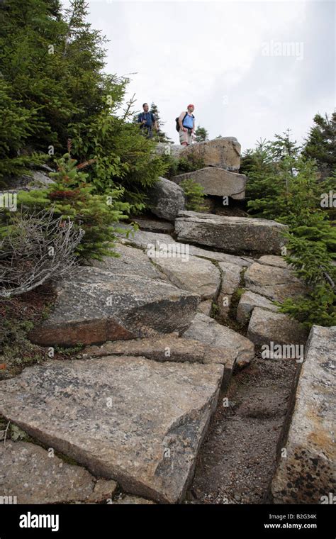 Appalachian Trail...White Mountains New Hampshire USA Stock Photo - Alamy