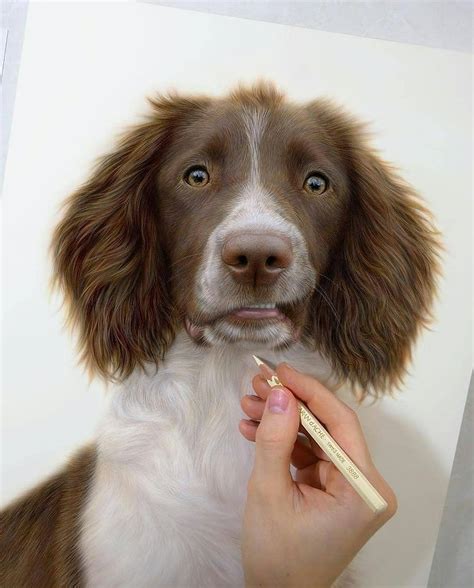 Super realistic dog drawing : r/BeAmazed