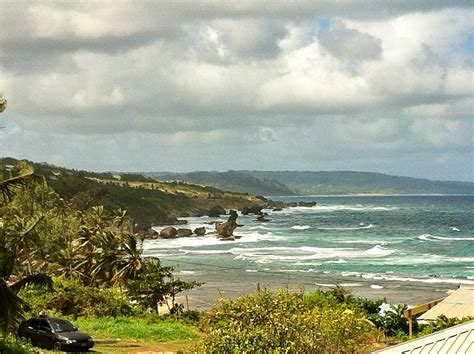 Near Bath beach, Barbados | Most beautiful beaches, Beautiful beaches, My island