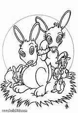 Rabbit Family coloring Page Cute And Amazing Farm Animals  sketch template