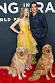 Amanda Seyfried & Milo Ventimiglia Are Joined by Dogs at 'Art of Racing ...