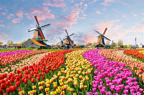 8 Best Places To Visit In The Netherlands • Winetraveler