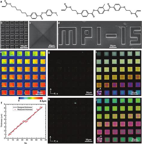 Colors generated from liquid crystal elastomer (LCE) films with... | Download Scientific Diagram