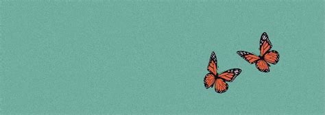 Teal Butterfly Header Aesthetic | Cute headers for twitter, Twitter header pictures, Teal butterfly