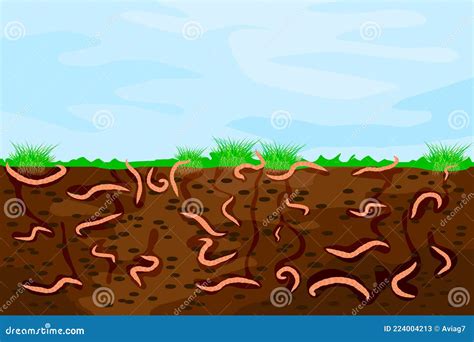 Ground Cutaway with Earthworms. Worms in Garden Soil. Stock Vector - Illustration of earthworms ...