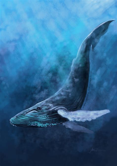 Humpback Whale by endzi-z on DeviantArt