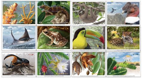 UN Stamps show endangered species of South America and Caribbean ...