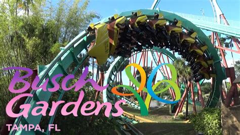 Busch Gardens Tampa Bay Roller Coasters | Fasci Garden