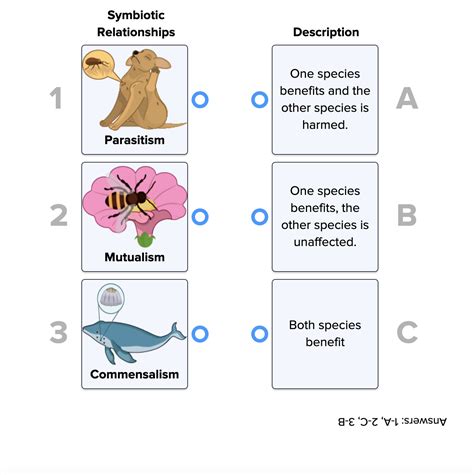 Identify The Type Of Symbiosis Described