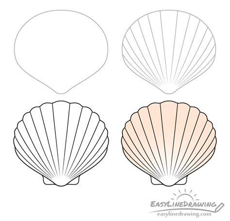 How To Draw A Shell