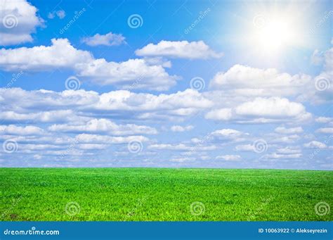 Sunny landscape stock photo. Image of vista, meadow, backgrounds - 10063922