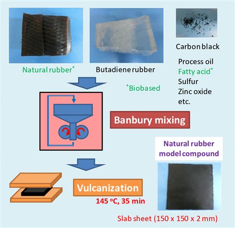 Production of natural rubber model compound. | Download Scientific Diagram