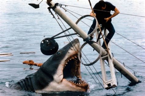 Jaws, Sharknado, The Meg: What makes shark movies so appealing?