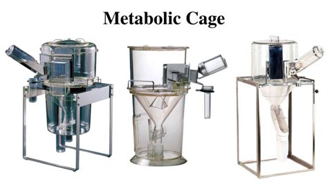 Metabolic Cage - Pengertian, Fungsi dan Cara Penggunaan